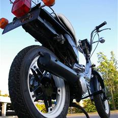 Suzuki fz 50 (solgt)