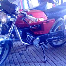 Puch Monza Flagskib *Fuldkåbe*