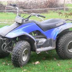Yamaha Brecer ATV