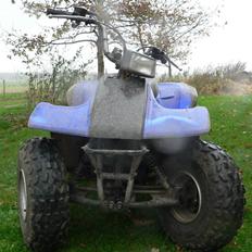 Yamaha Brecer ATV