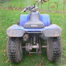 Yamaha Brecer ATV