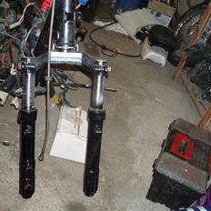 Benelli 491  projekt SOLGT fisse