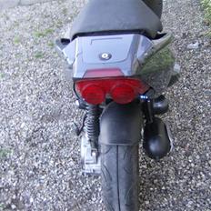 PGO Dr.big projekt (SOLGT)