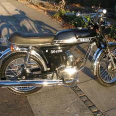 Yamaha Fs1 DX