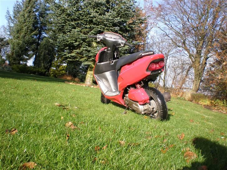 Honda sfx (solgt) billede 2