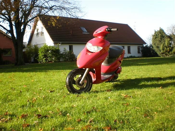 Honda sfx (solgt) billede 6