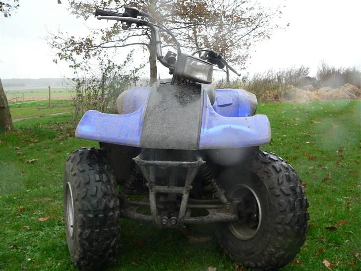 Yamaha Brecer ATV billede 2