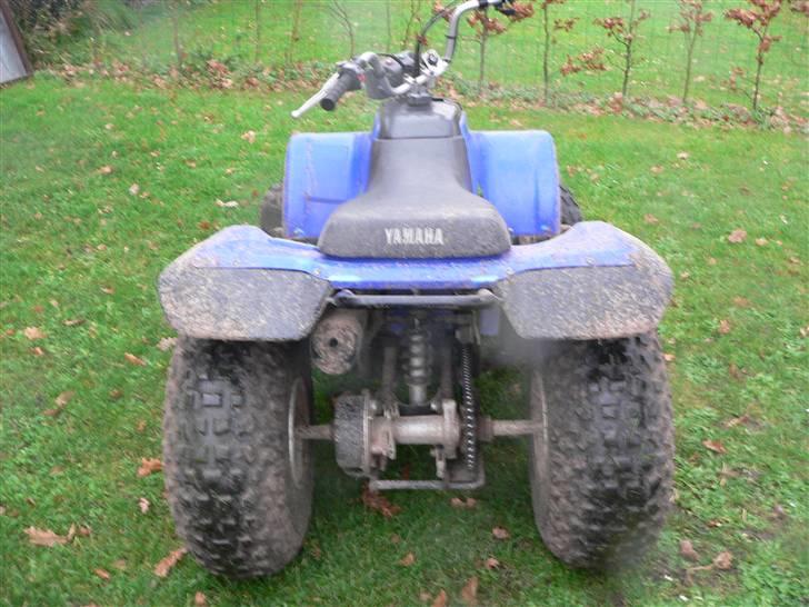 Yamaha Brecer ATV billede 3