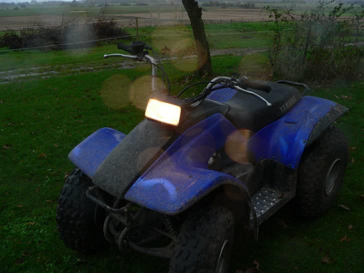 Yamaha Brecer ATV billede 5