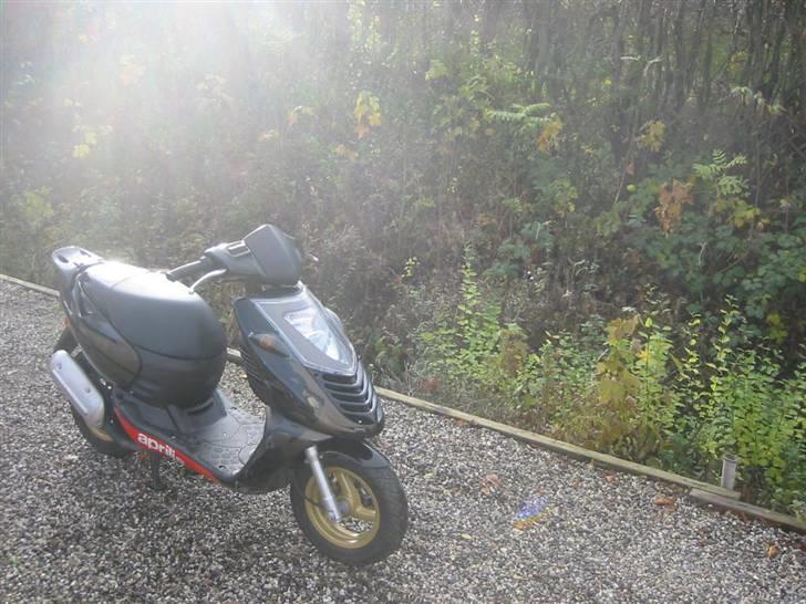 Aprilia Sonic [Solgt] billede 9