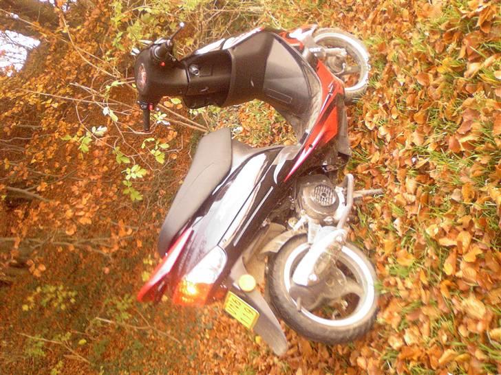 Giantco Sprint Sport billede 12