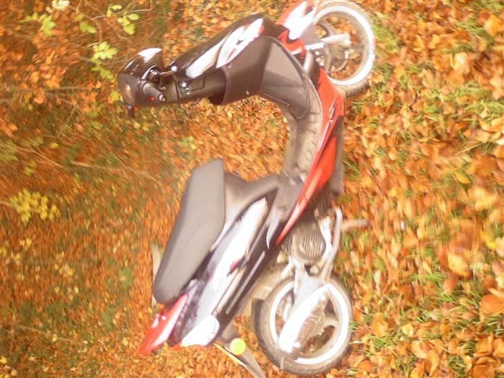 Giantco Sprint Sport billede 13