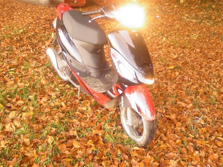 Giantco Sprint Sport billede 14