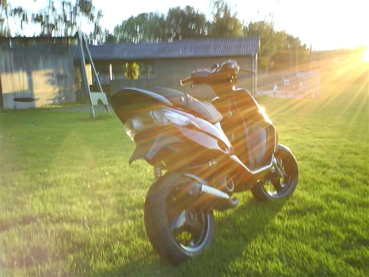 Gilera Stalker Før-Nu-> SkitZo billede 14