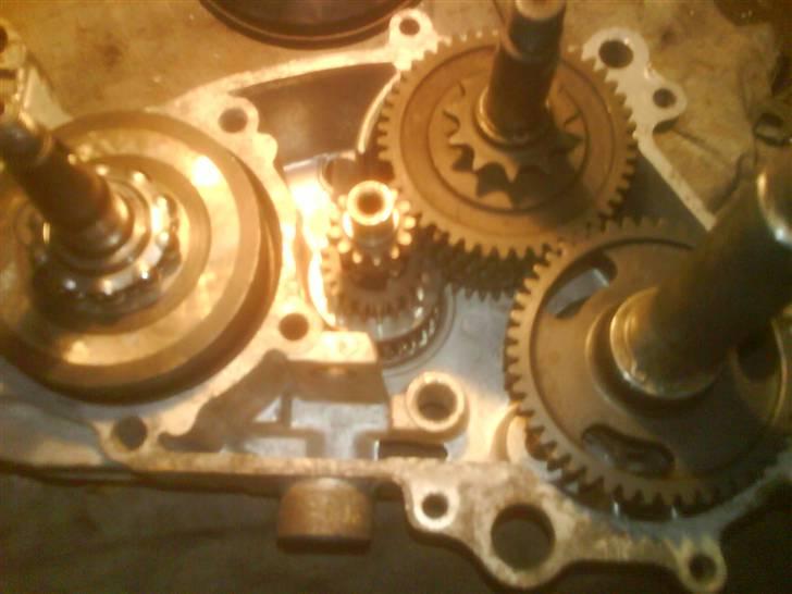 Kreidler rmc florett "projekt" billede 6