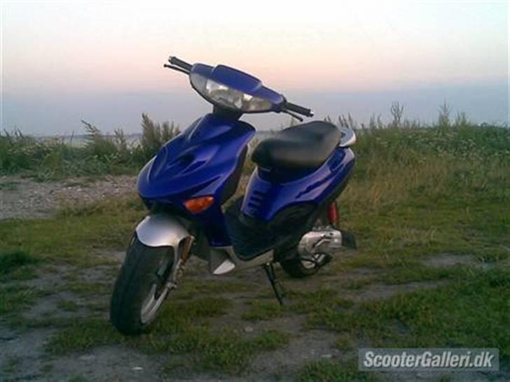 Adly TMP Baboon billede 1