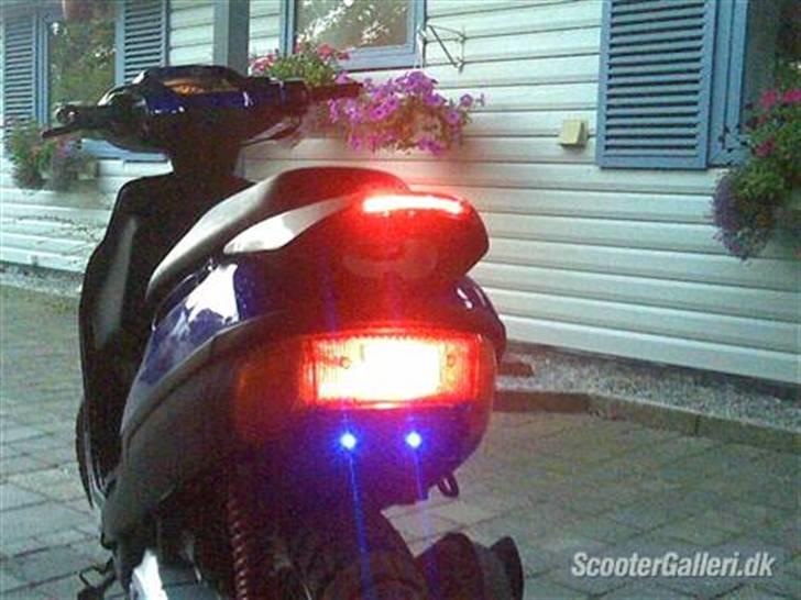 Adly TMP Baboon billede 2