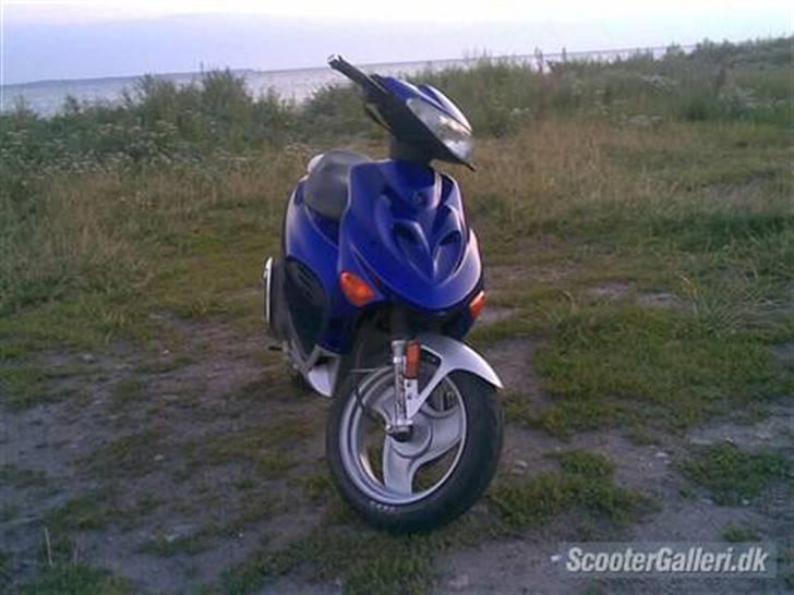 Adly TMP Baboon billede 3