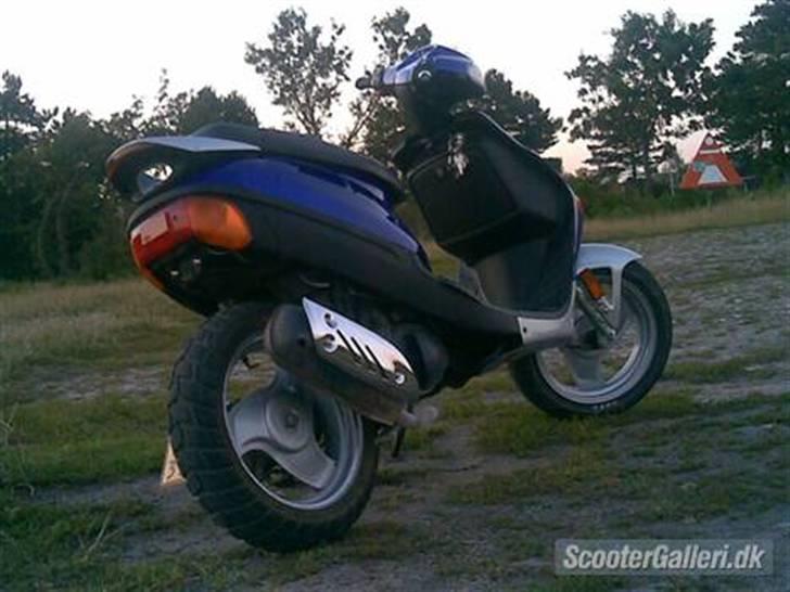 Adly TMP Baboon billede 4