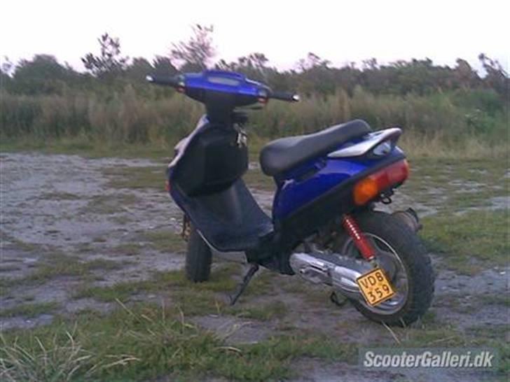 Adly TMP Baboon billede 5