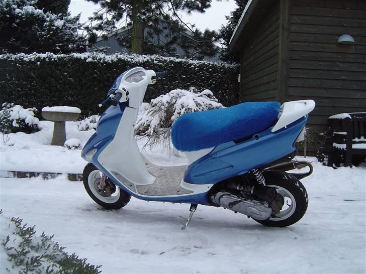 Honda SFX Repsol billede 4