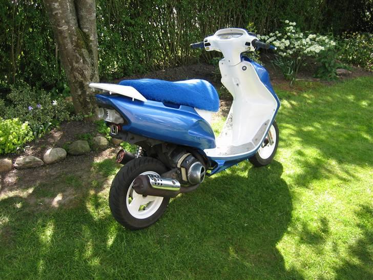 Honda SFX Repsol billede 13