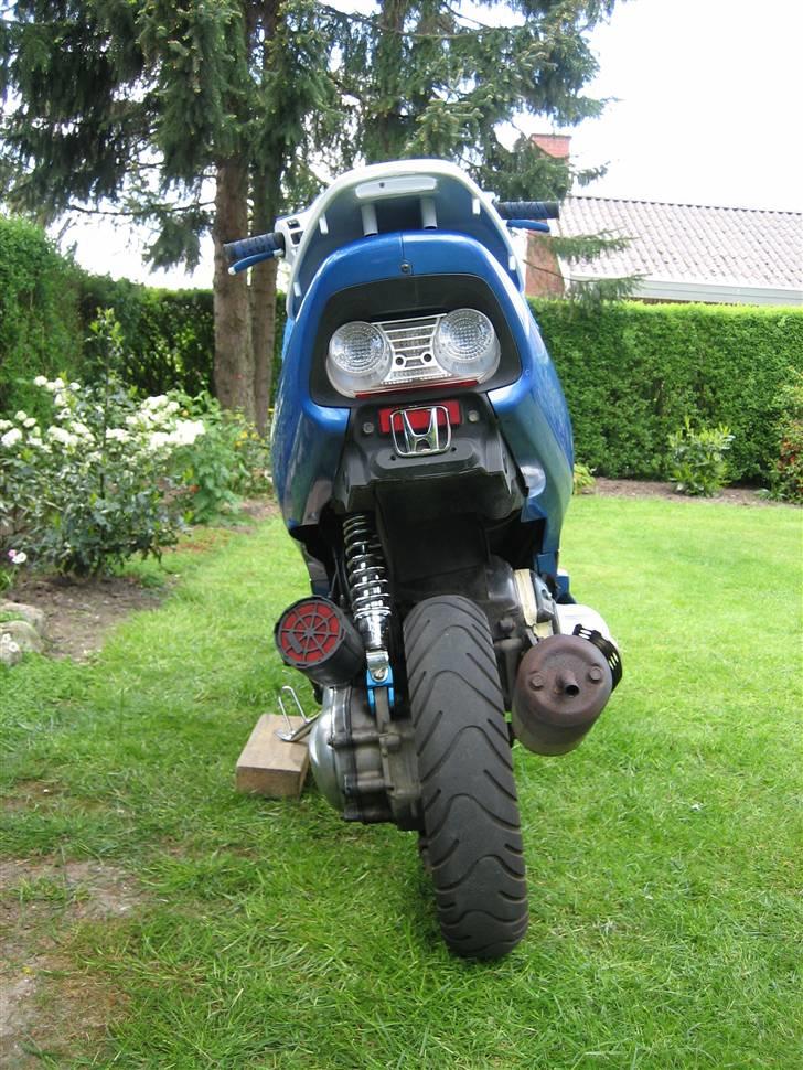 Honda SFX Repsol billede 14