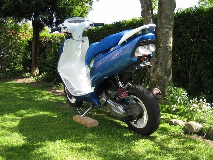 Honda SFX Repsol billede 15