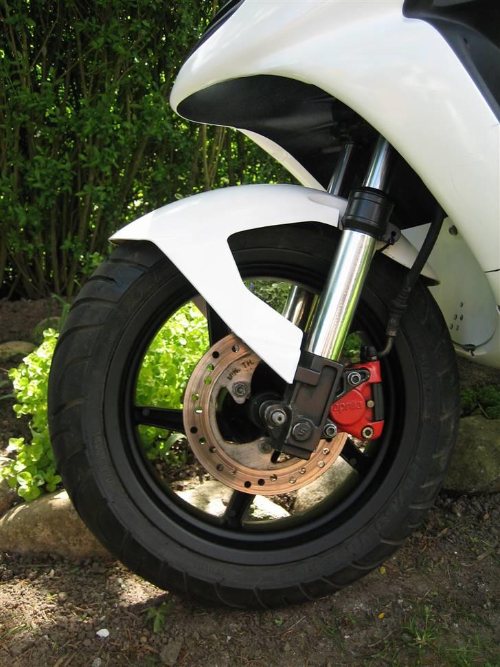 Aprilia Sonic DD billede 11