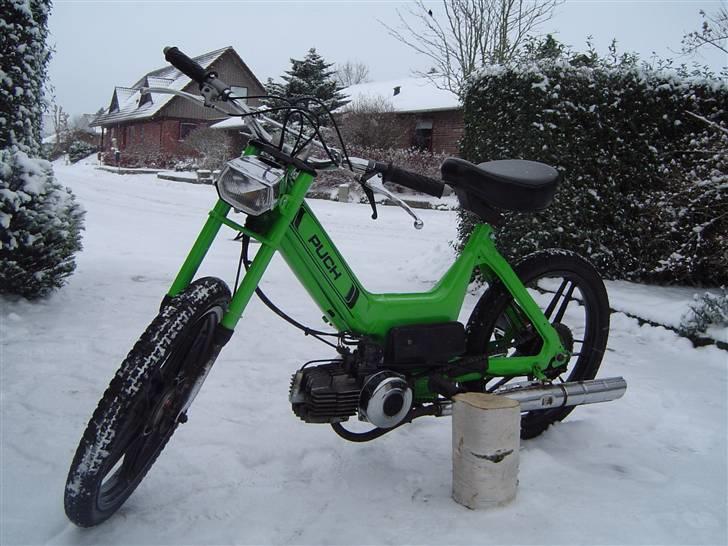 Puch Maxi K billede 12