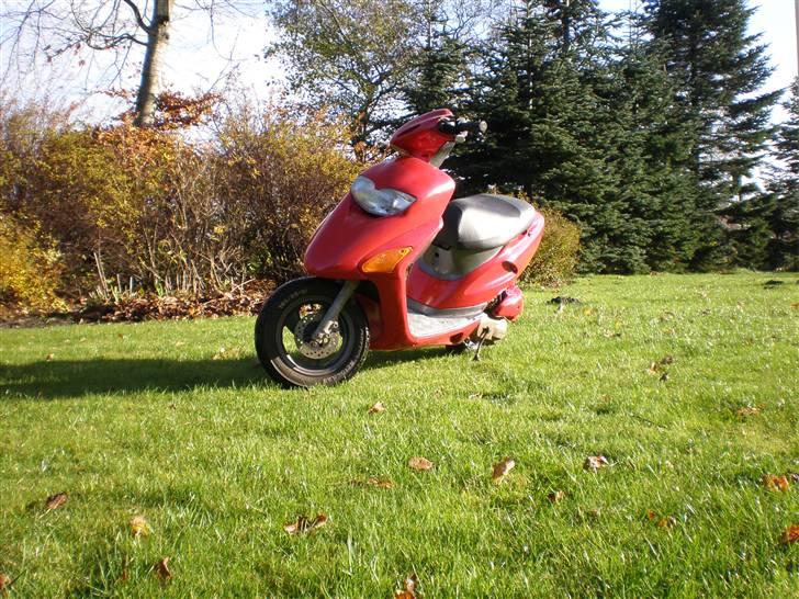 Honda sfx (solgt) billede 7