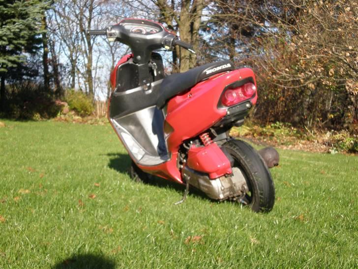 Honda sfx (solgt) billede 9