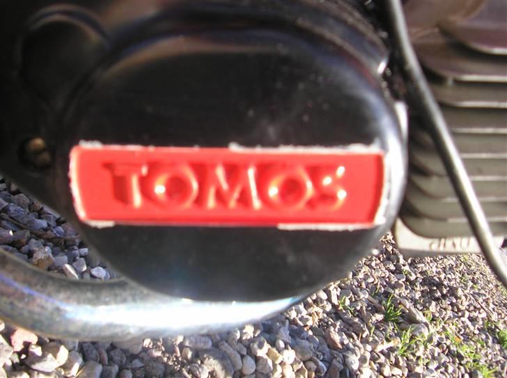 Tomos Qadro SOLGT billede 10