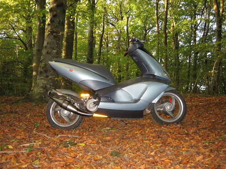 Aprilia Area 51 LC DD billede 19