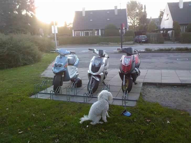 Yamaha Bw's Spy solgt - Min Bw´s, nico´s sonic og plet´s sonic ;-) luxuz  billede 5