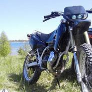 Suzuki !..::::S*M*X::::..!