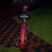 Puch maxi SOLGT