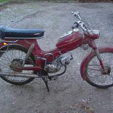Puch MS50
