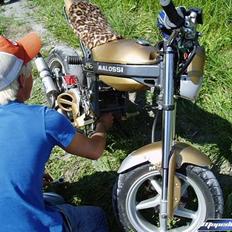 Suzuki Street Magic -BYTTET