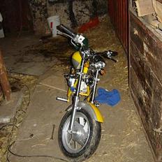 MiniBike mini chopper tilbage:D