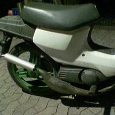 Honda Wallaroo