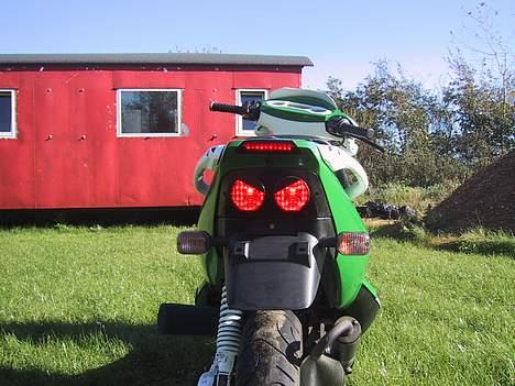 PGO Dr. big Tuborg - SOLGT! - Min dejlige baglygte:D billede 7