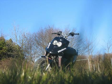 PGO HOT 50 -SOLGT FOR 9500 KR - Sindsyg nice vinkel billede 3