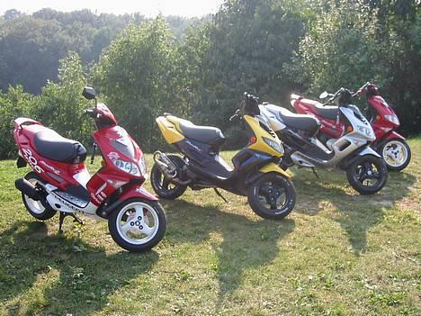 Peugeot Speedfight 2 SOLGT - Wauuw creme de la creme billede 8