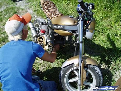 Suzuki Street Magic -BYTTET - Løvel træf d. 10 , tændrørs tjek ;) billede 3