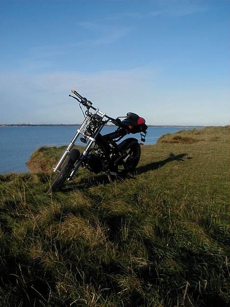 Sachs MadAss | S O L G T billede 6