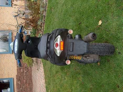 Aprilia rally billede 2