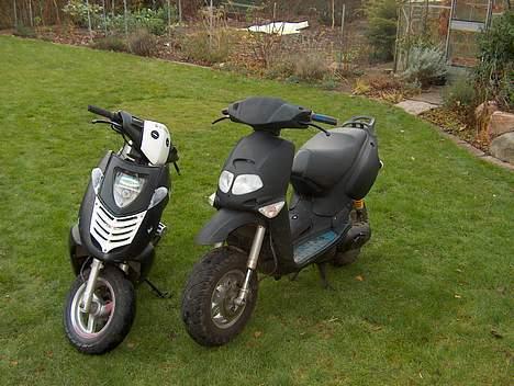 Aprilia rally billede 7