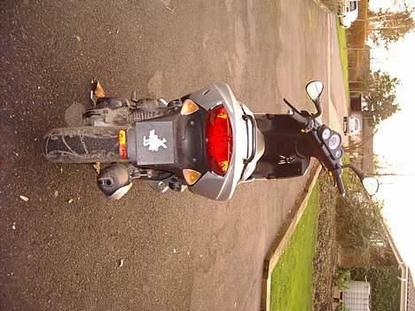 Peugeot Speedfight 2 billede 9