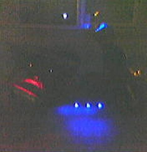 Honda SFX Bebse blå  ( STJÅLET) - Dioder.. der er 2 røde dioder bag i over bag dækket. og 6 i underskjoldet og 4 i indstrumentet.  billede 3